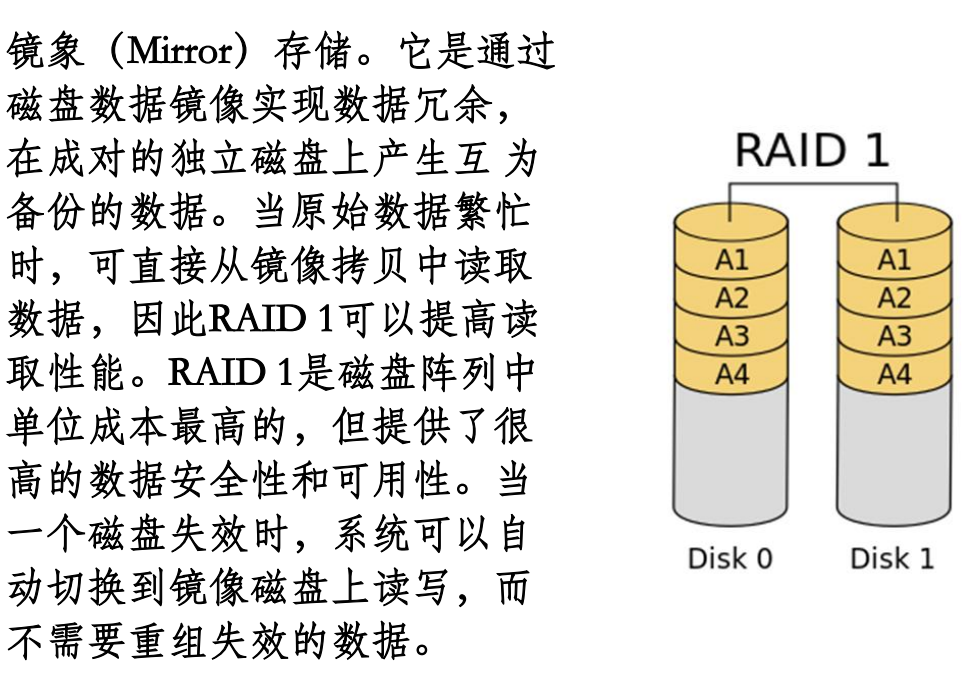 RAID1